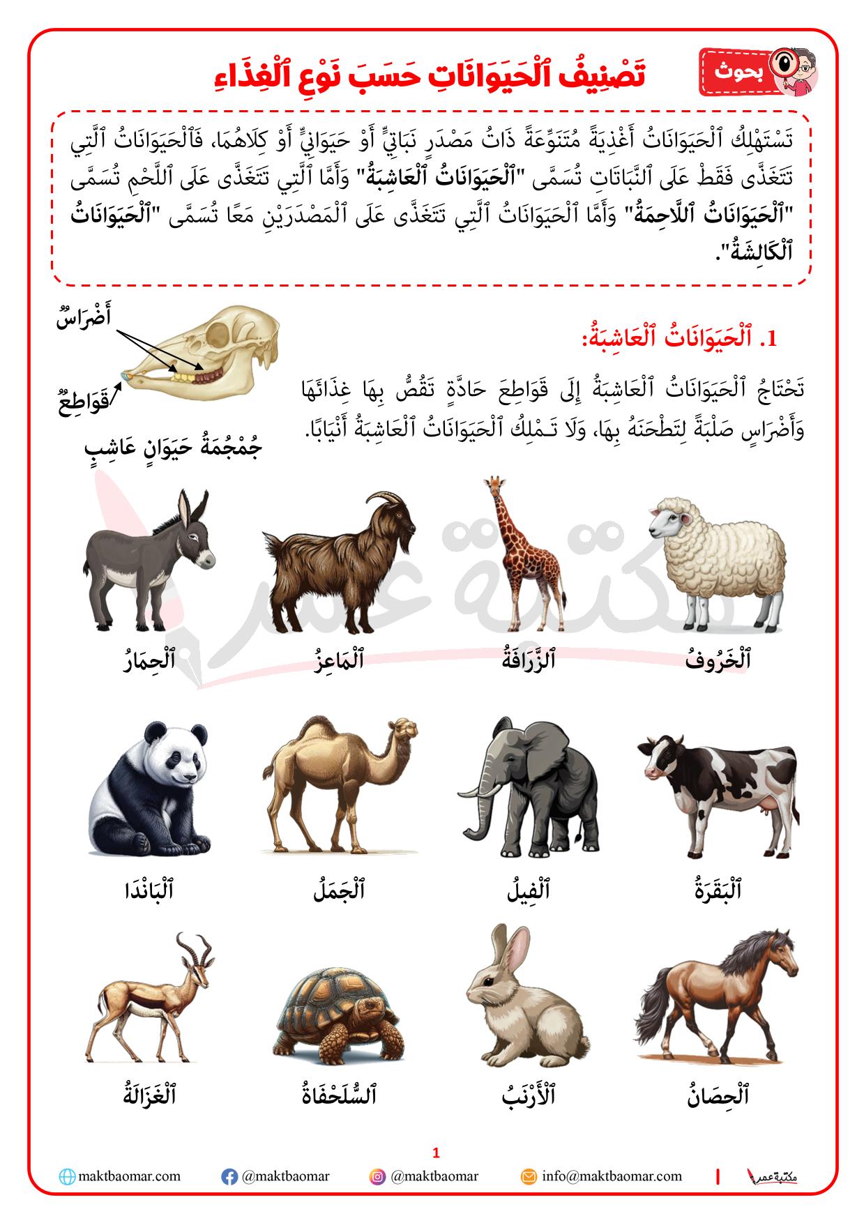 تصنيف الحيوانات حسب نوع الغذاء الذي تعيش عليه-1