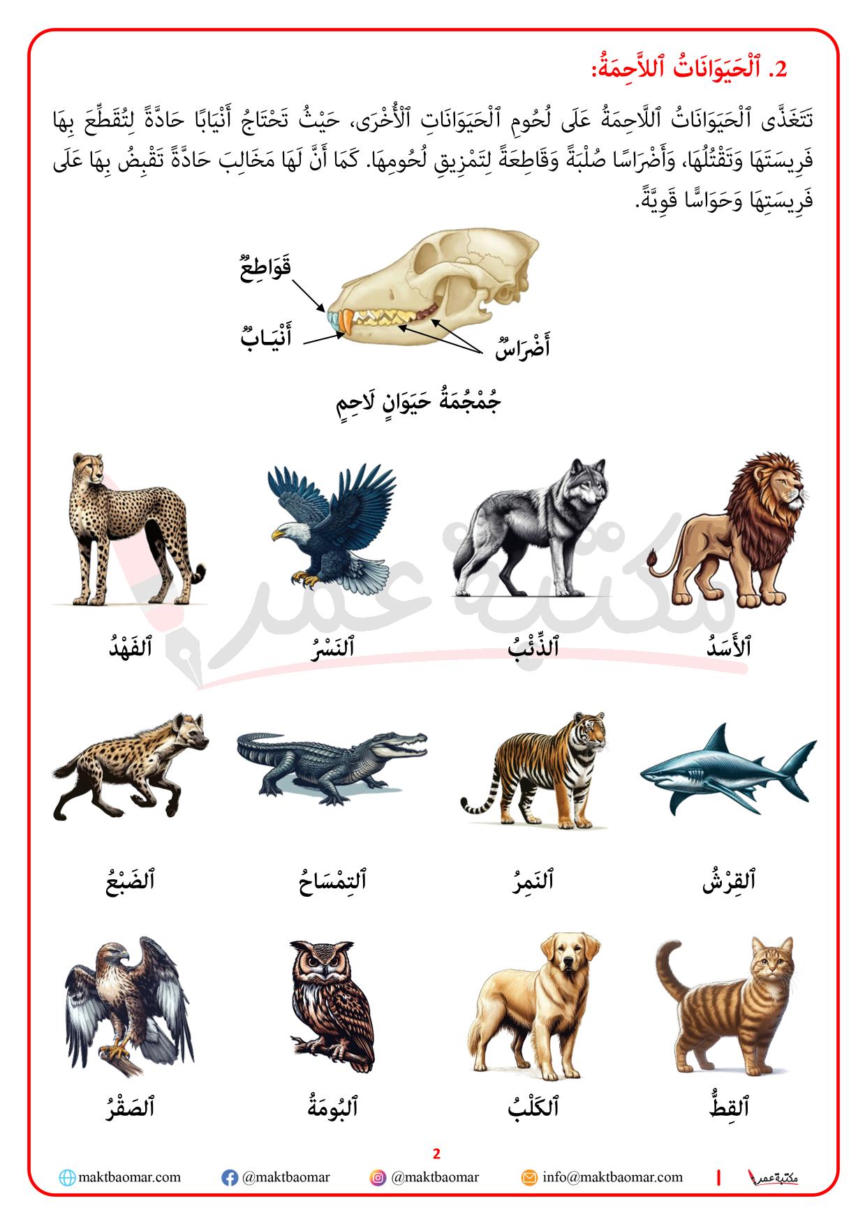 تصنيف الحيوانات حسب نوع الغذاء الذي تعيش عليه-2