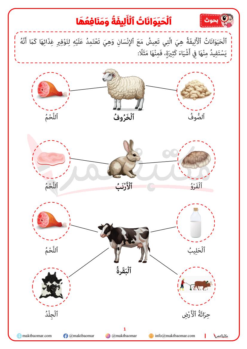 الحيوانات الأليفة ومنافعها-1