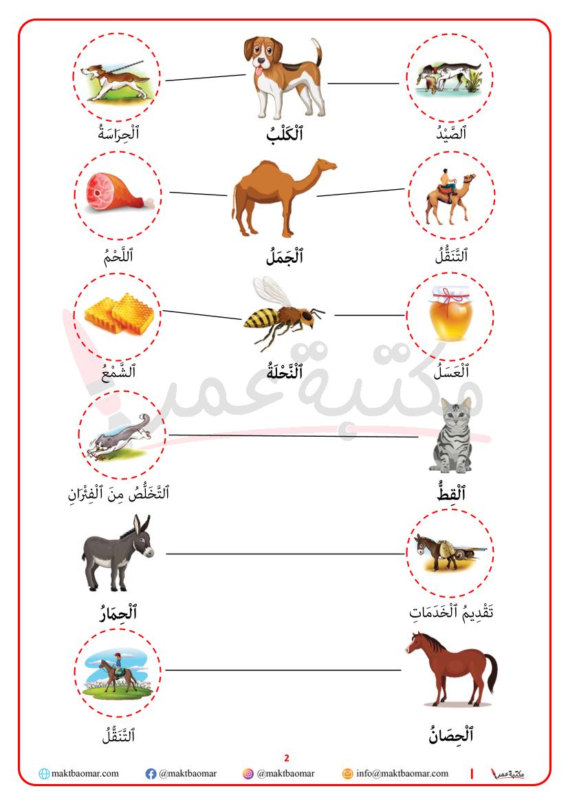 الحيوانات الأليفة ومنافعها-2